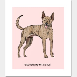 formosan mountain dog Posters and Art